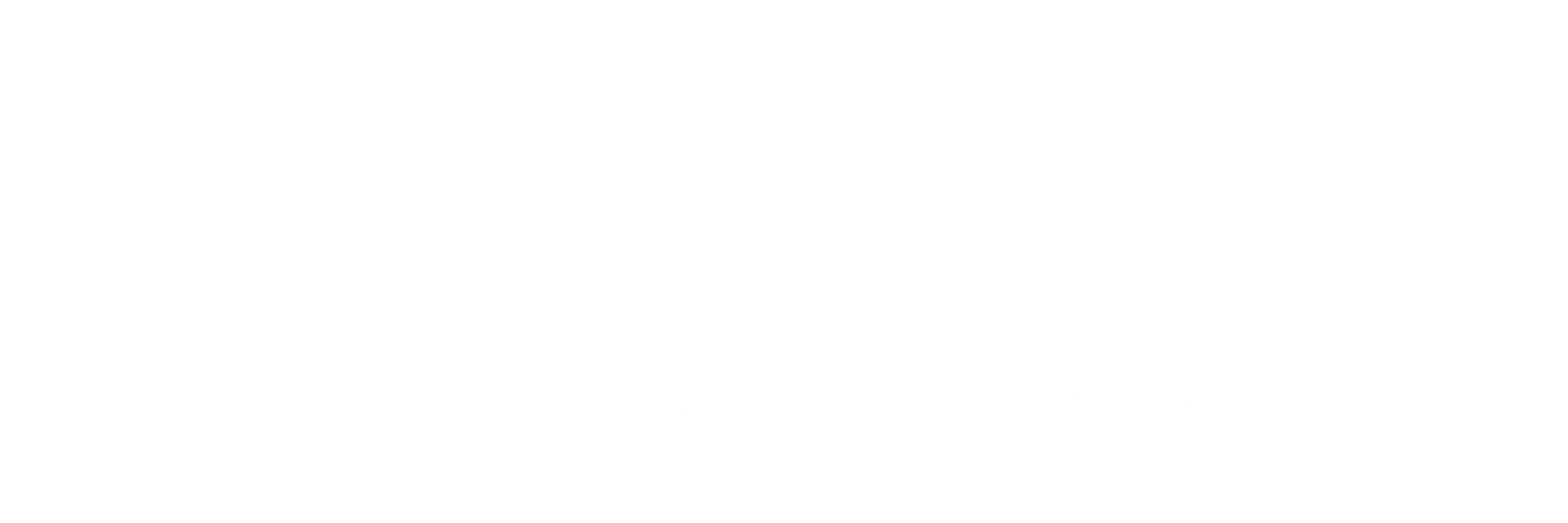 Fundación Aguirre, Azuela, Chávez, Jauregui Pro Derechos Humanos A.C.